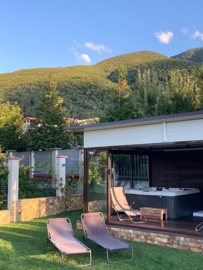 Villa Detelina 사파레바바냐 외부 사진